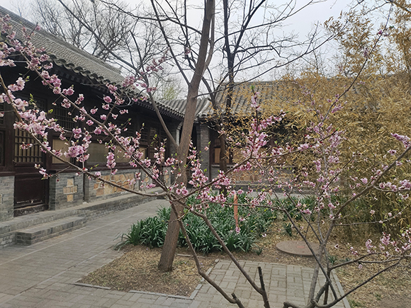 鄉下建四合院